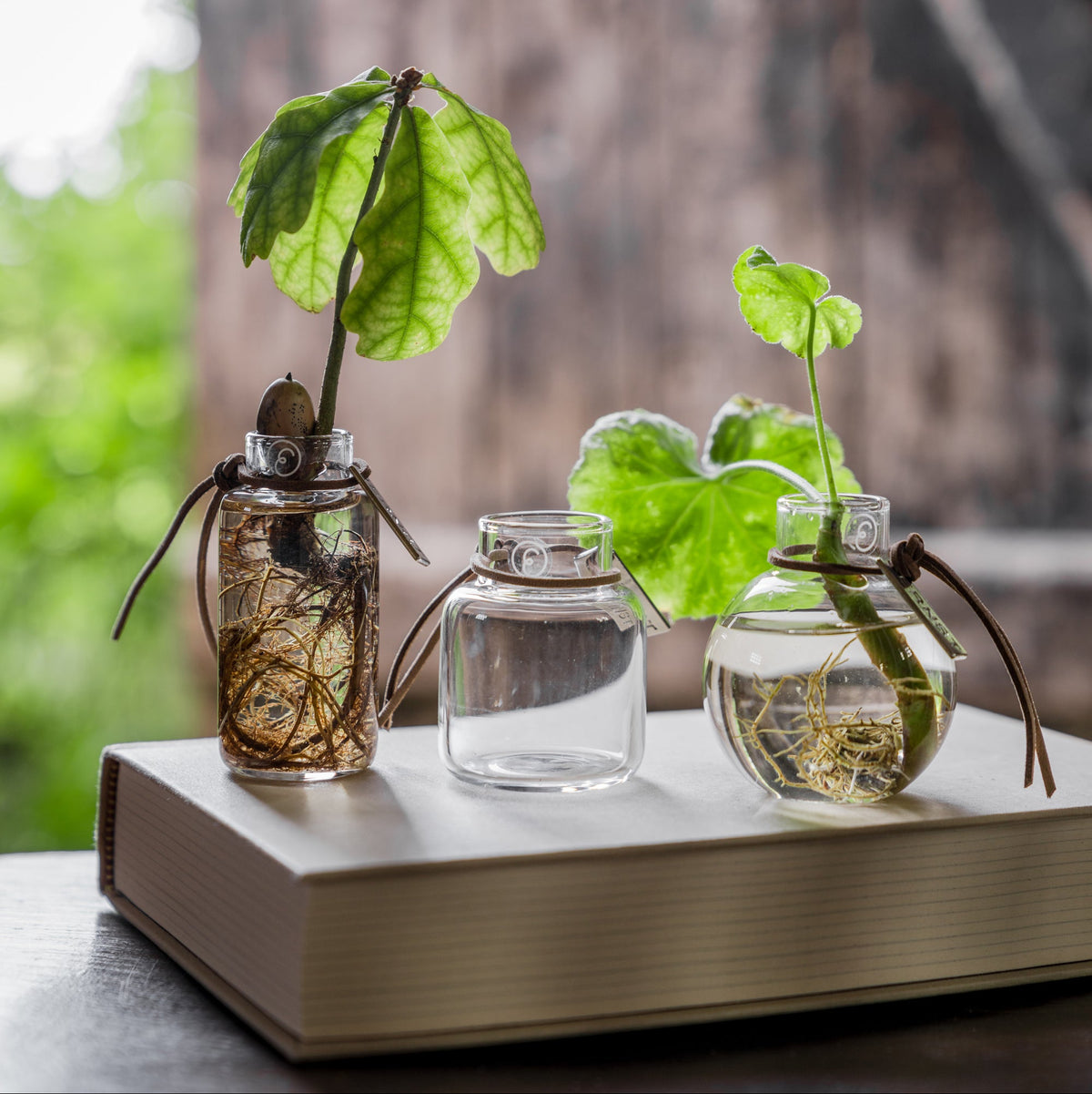 Mini Vasen, Glas, 3er Set – Das Dekorativ