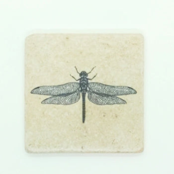 Natursteinfliese, illustriert, Libelle