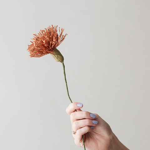 Papierblume Chrysantheme, braun