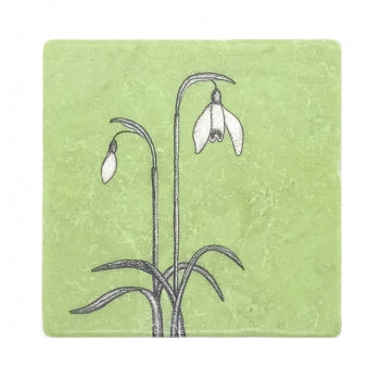 Natursteinfliese, illustriert, Schneeglöckchen